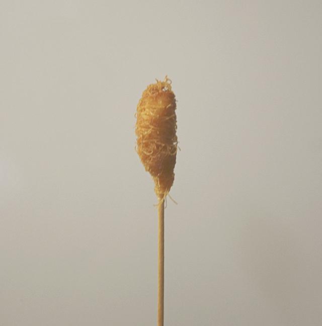 GAMBAS ENVUELTAS EN PASTA KATAIFI #receta