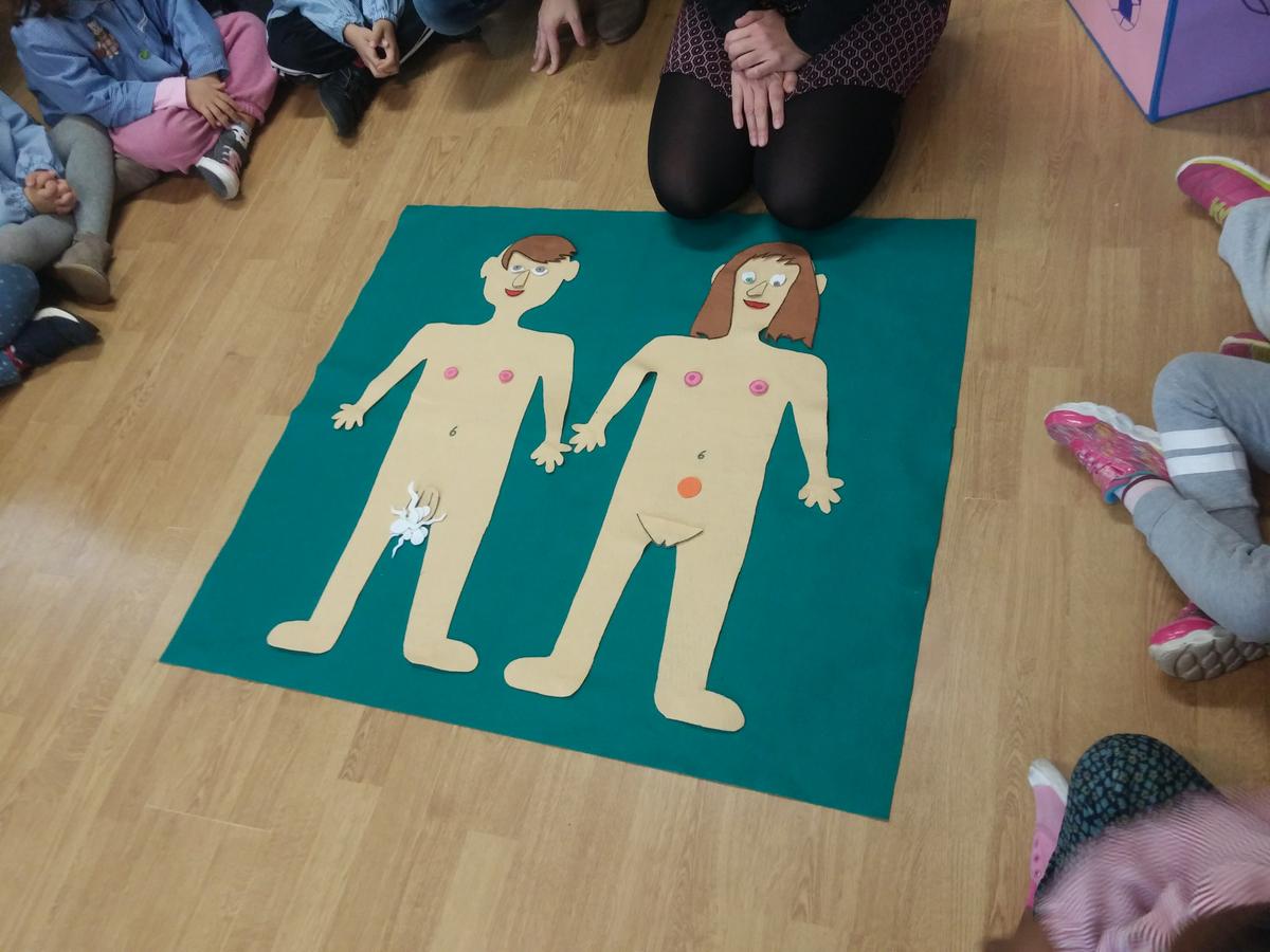 ¿De dónde venimos?