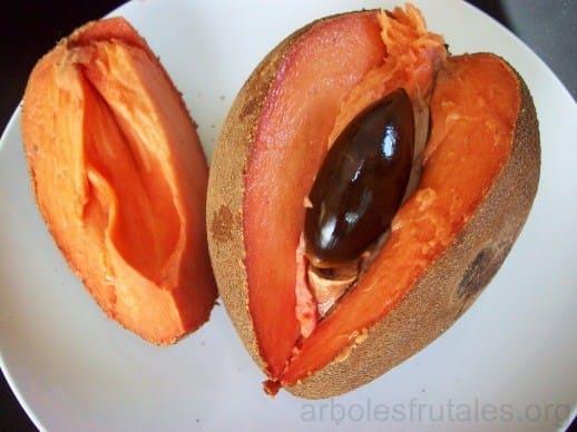 mamey-todo-lo-que-debes-saber_-min