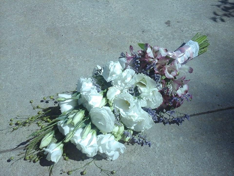 15049825_10154838375361614_1061909336_n-copia