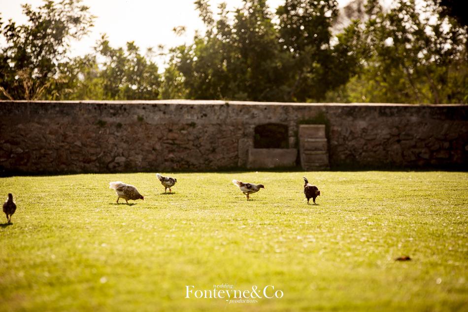 boda mallorca rito luterano