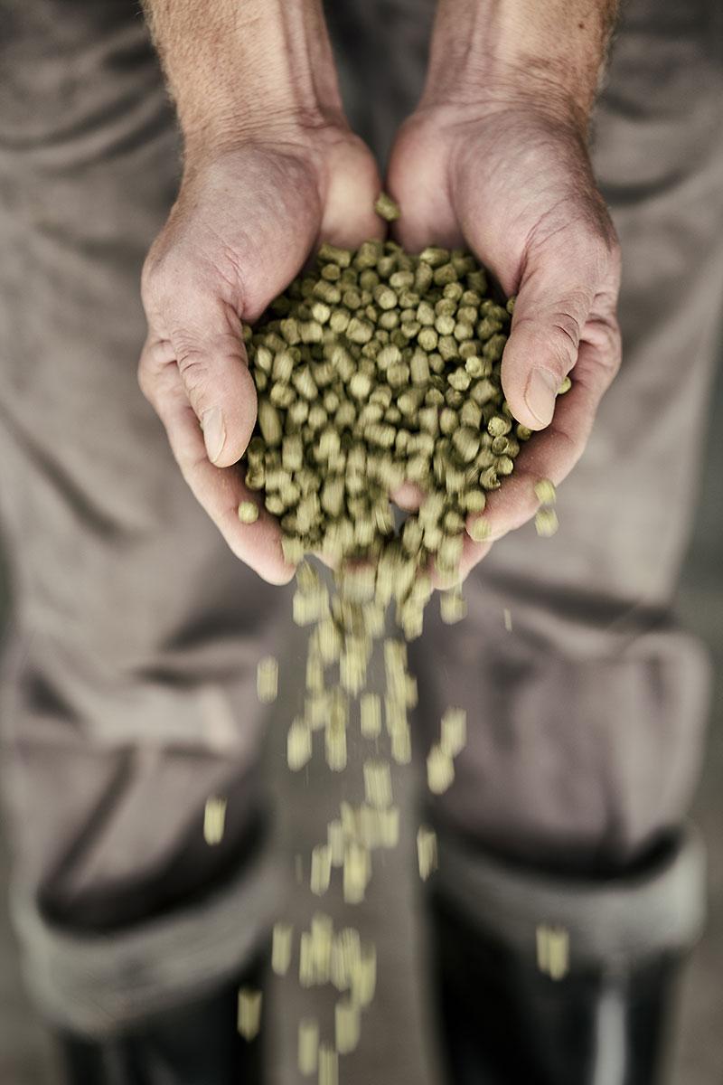 basqueland-brewing-project-lupulo-by-maria-algara-regas