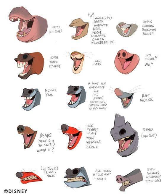 aprender a dibujar caricaturas de animales 2