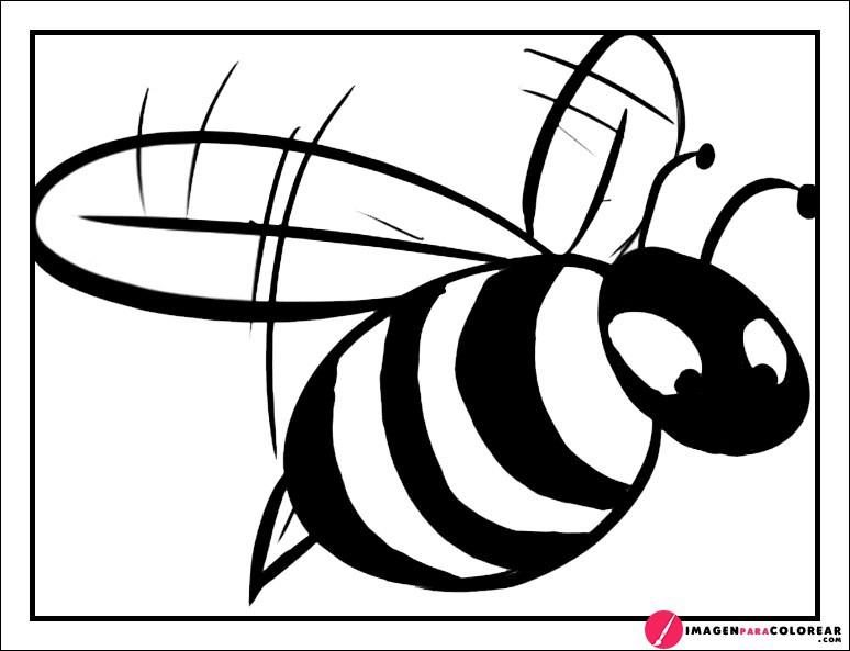 Imagenes De Abejas Para Colorear