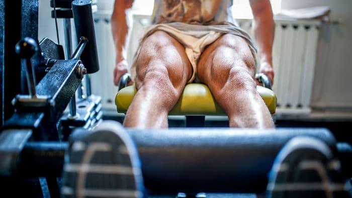 Extensiones de cuadriceps