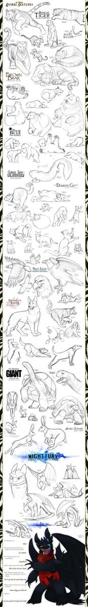 dibujar animales animados 3