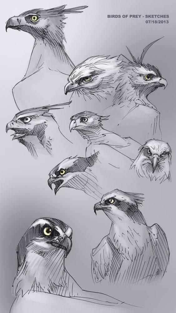 dibujar animales animados