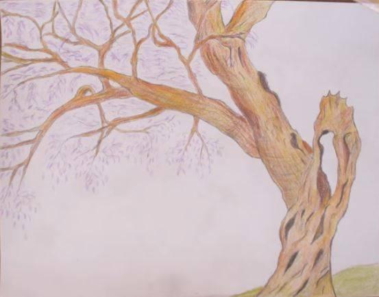 paso 3 para dibujar paisajes japoneses