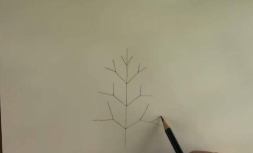 paso 1 para dibujar paisajes con arboles