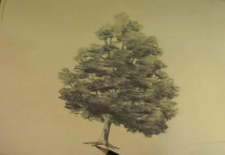 paso 5 para dibujar paisajes con arboles