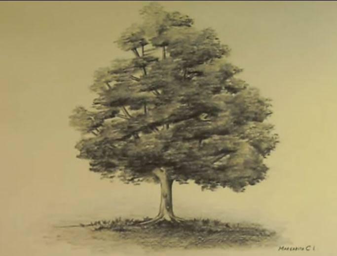 paso 6 para dibujar paisajes con arboles