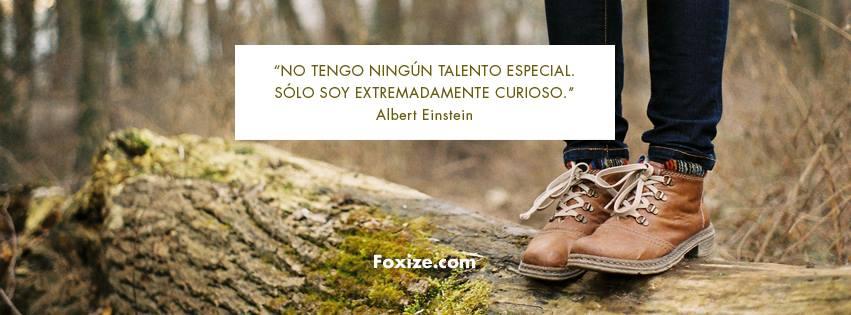 Foxize, una biblioteca on-line para emprendedores y profesionales