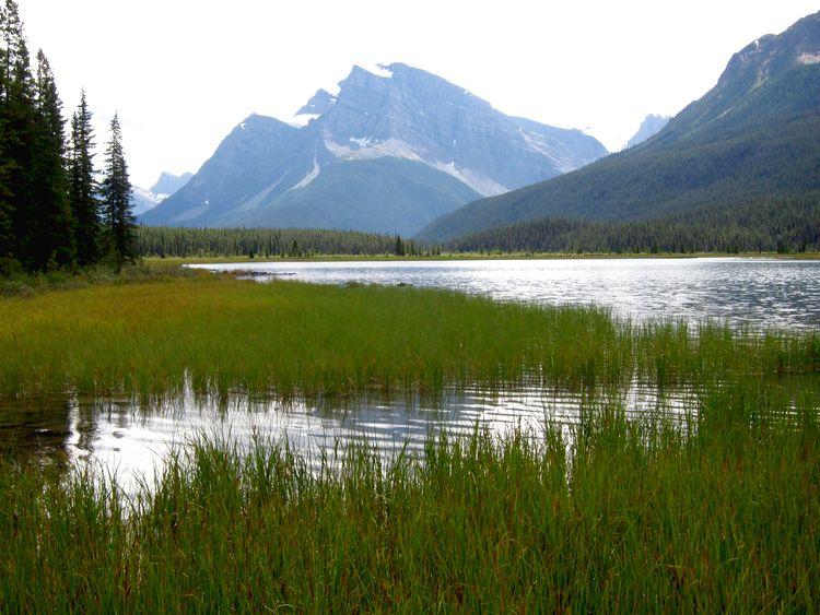 canada-08-ruta-por-icefields-parkway-14