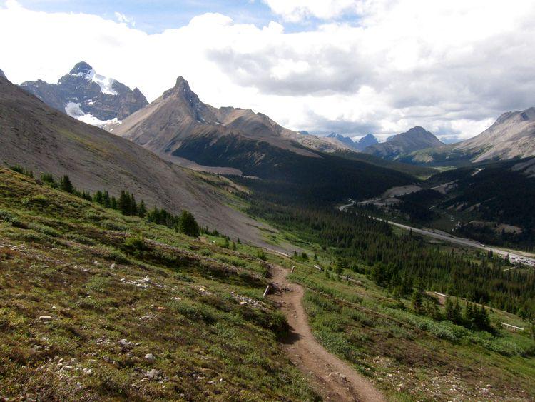 canada-08-ruta-por-icefields-parkway-17