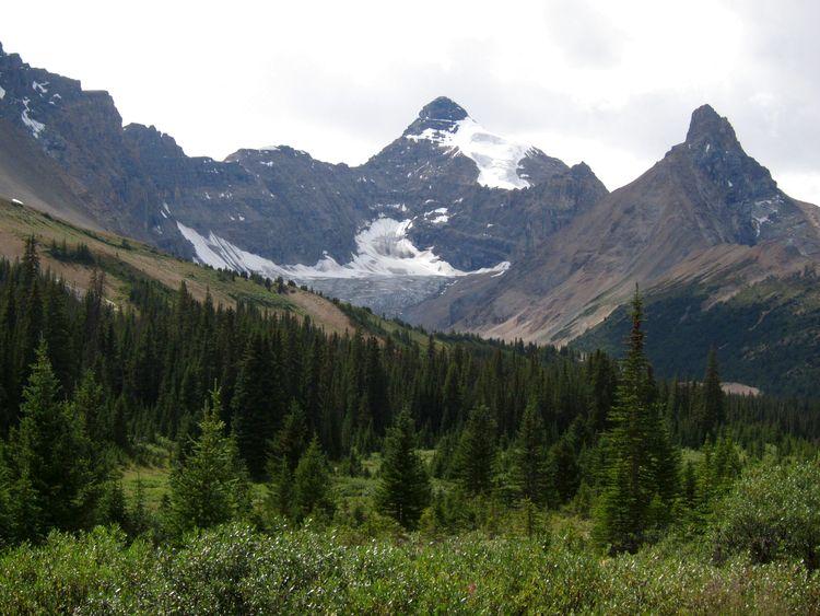canada-08-ruta-por-icefields-parkway-18