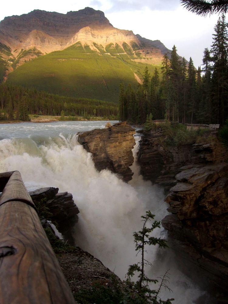 canada-08-ruta-por-icefields-parkway-38