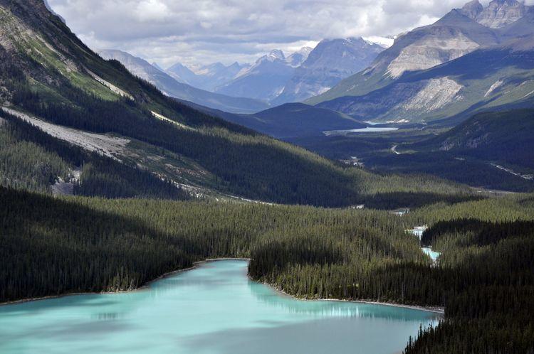 canada-08-ruta-por-icefields-parkway-12