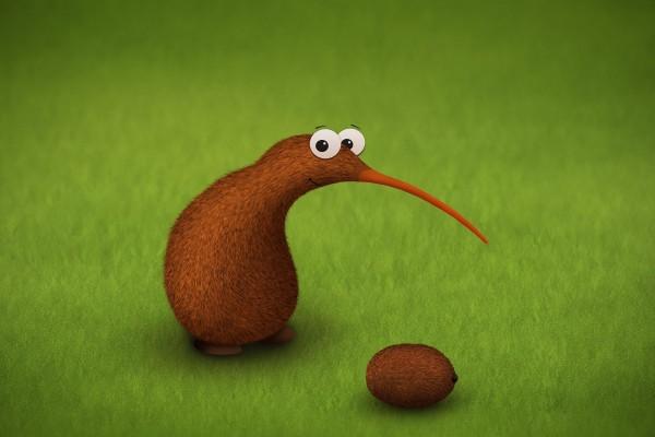 Hola! yo también soy un kiwi...