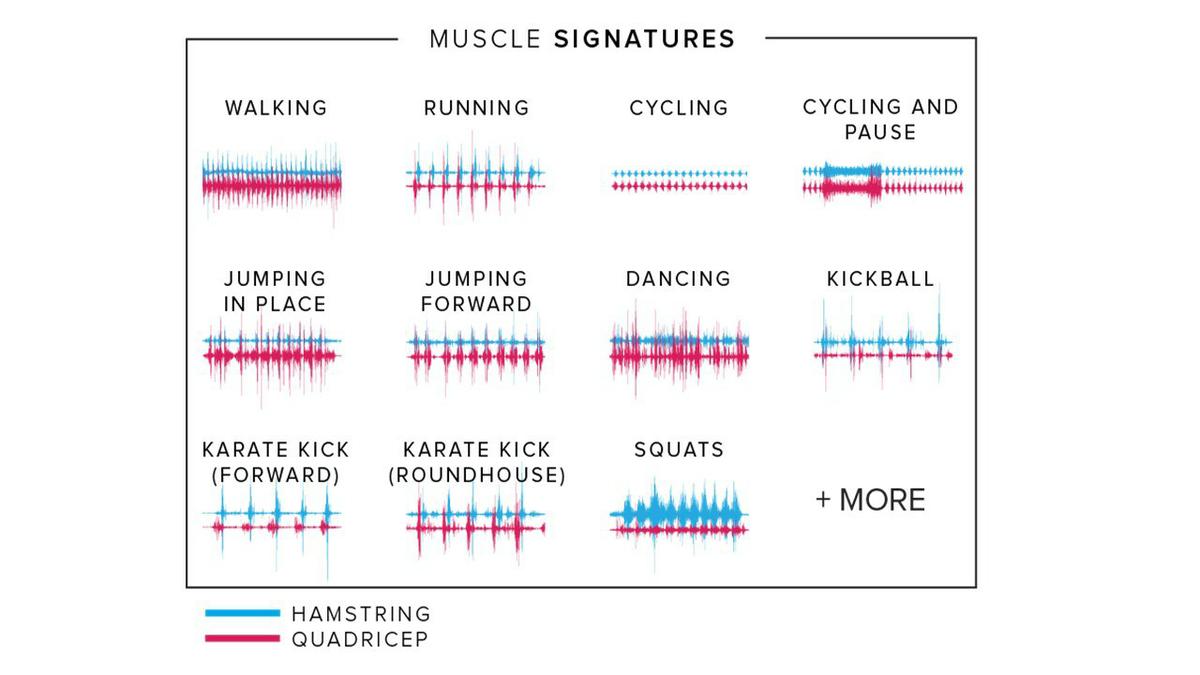 mbody-emg-athos-somaxis-10