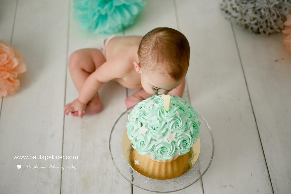 ALMA SMASHCAKE - MARCA AIGUA-131