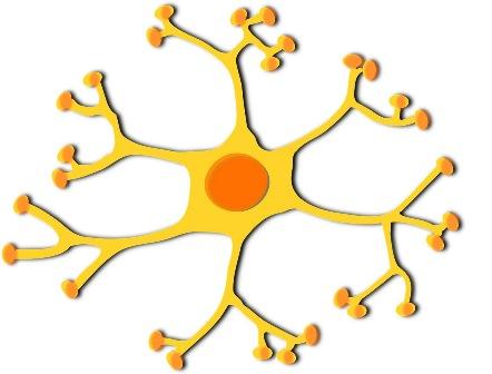 Neuronas