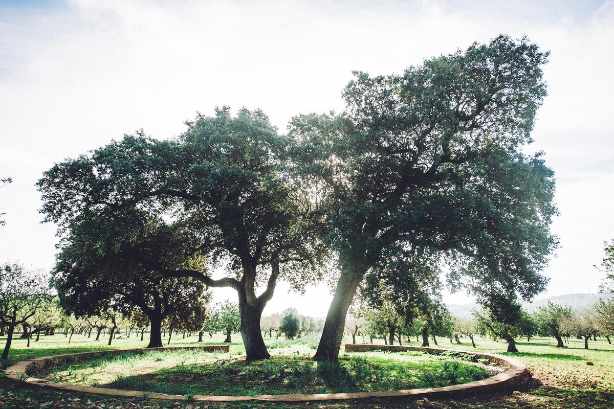 Finca Son Togores Mallorca