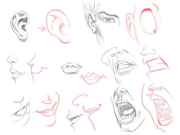 dibujando en diferentes ángulos 3