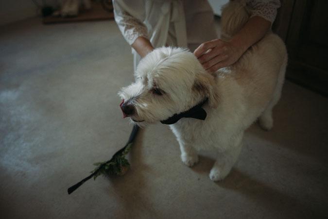 Boda otoño azul marsala