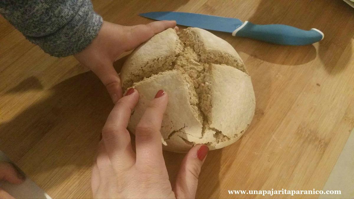 16326375_10212059214541302_45674471_o