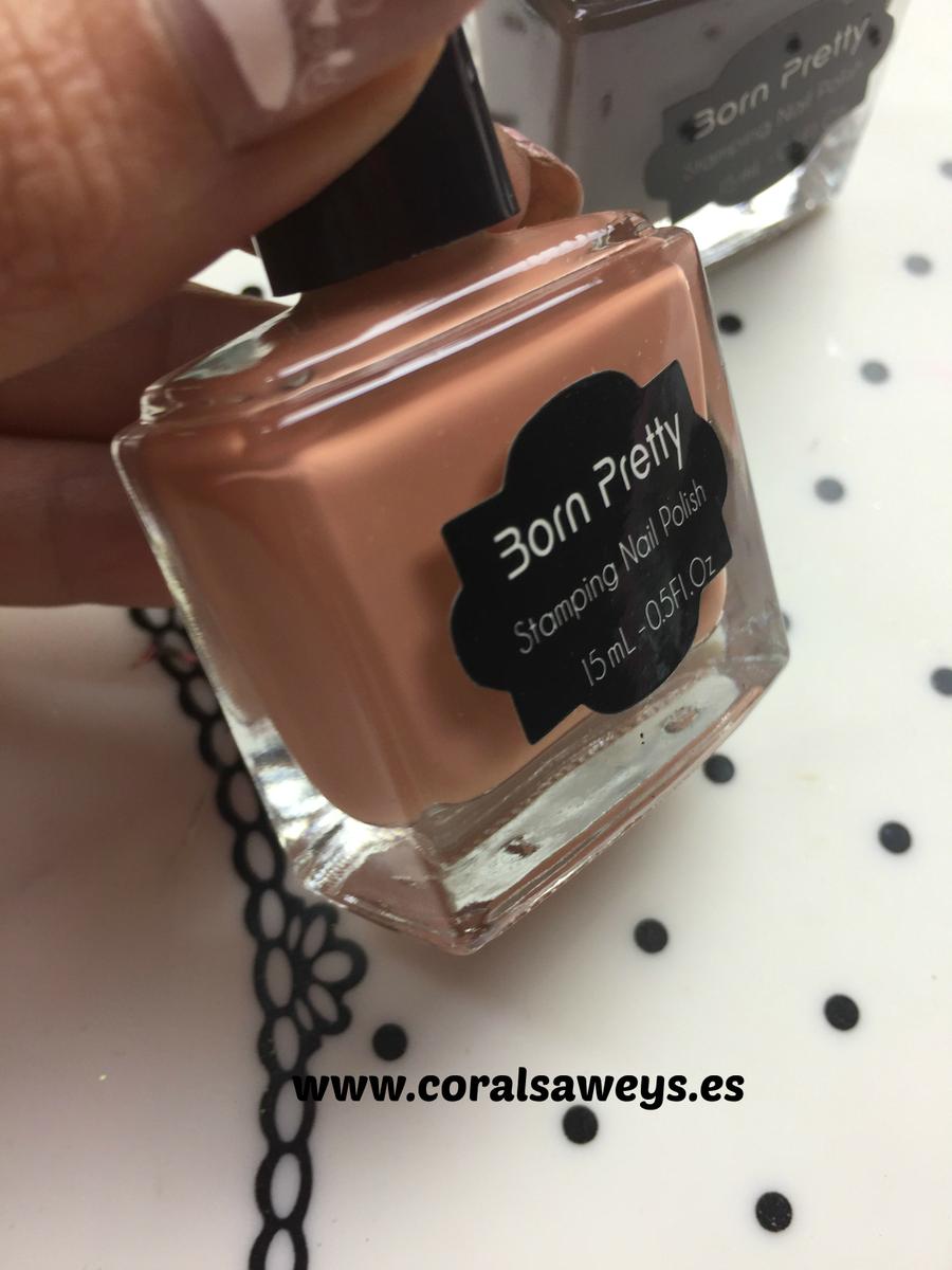 Archivo 28-1-17 20 19 06