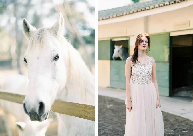 equestrian winter inspiration
