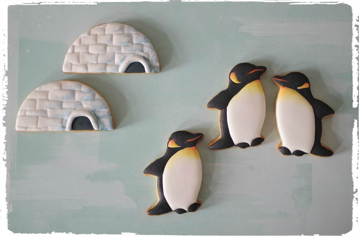 doctorcookies-galletas-antartida-21