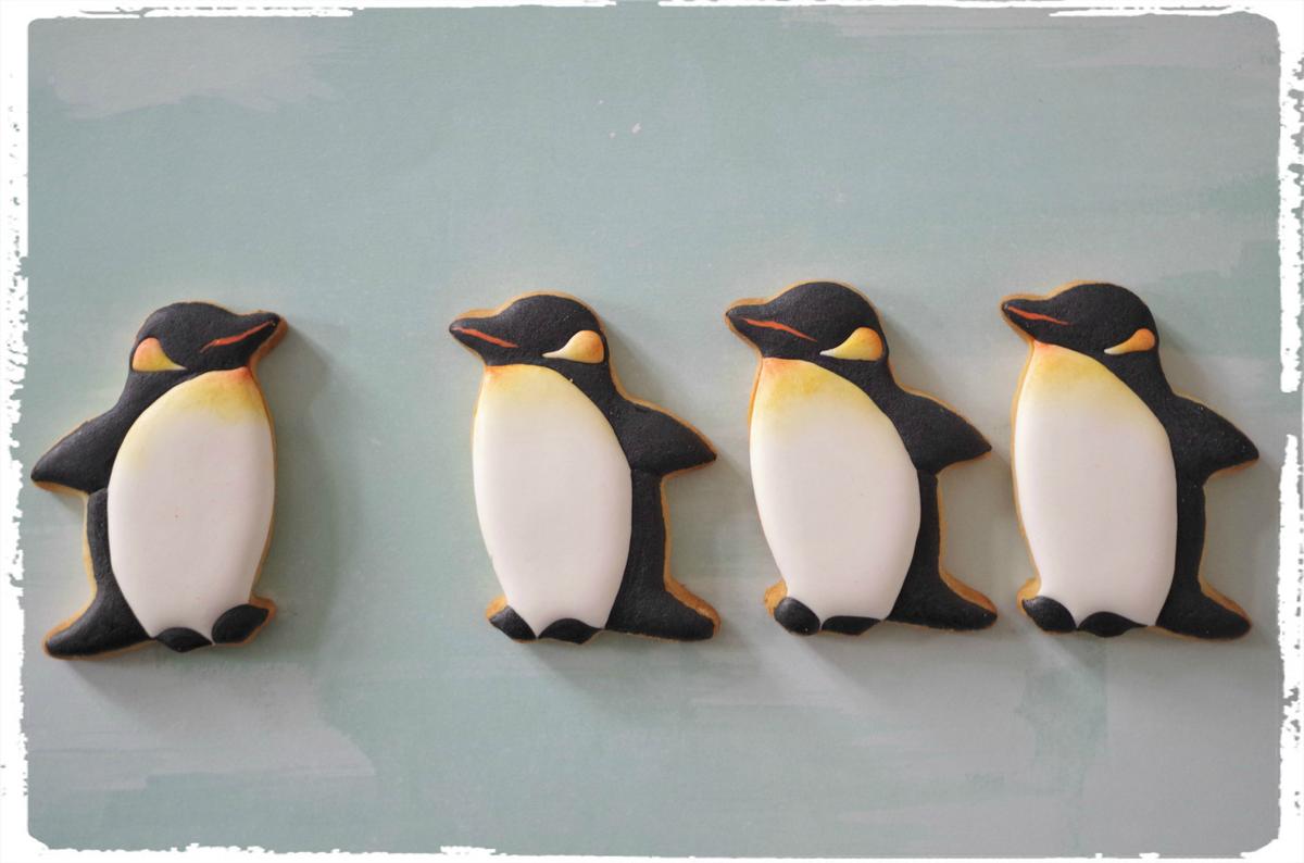 doctorcookies-galletas-antartida-17