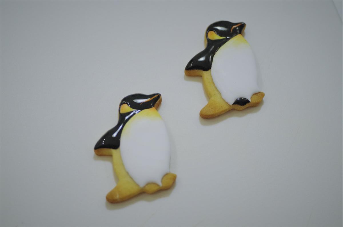 doctorcookies galletas antartida (27).JPG