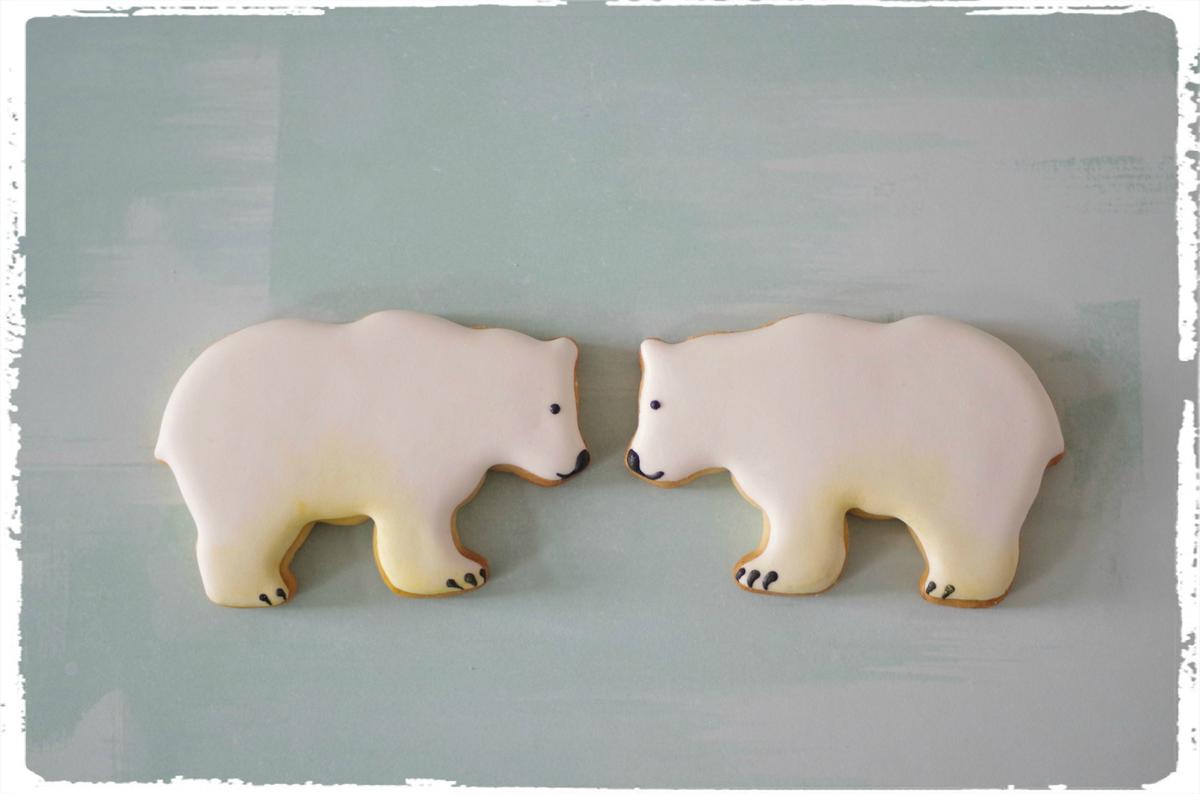 doctorcookies galletas antartida (15).png