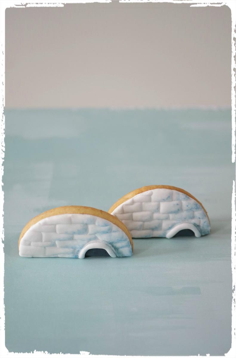 doctorcookies galletas antartida (18).png