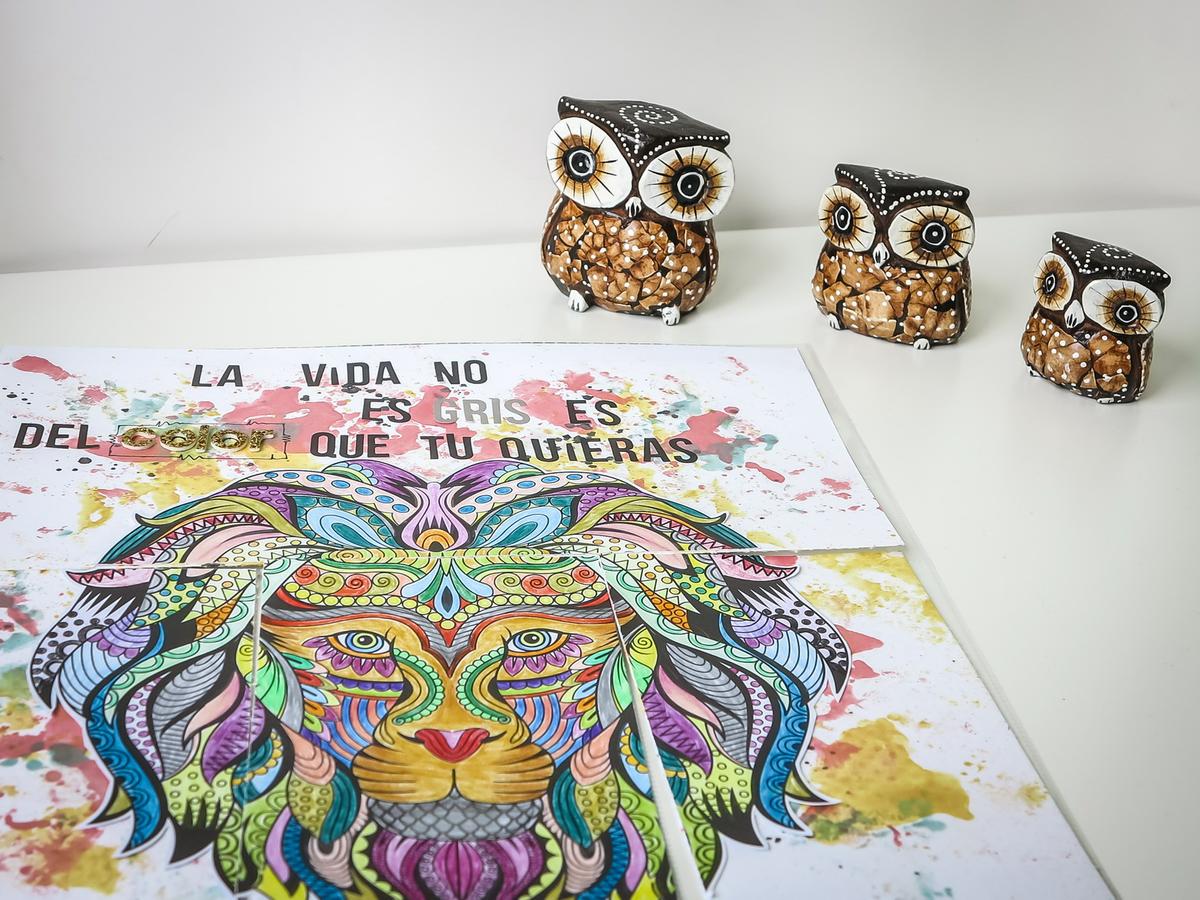 IMG_9186_redimensionar