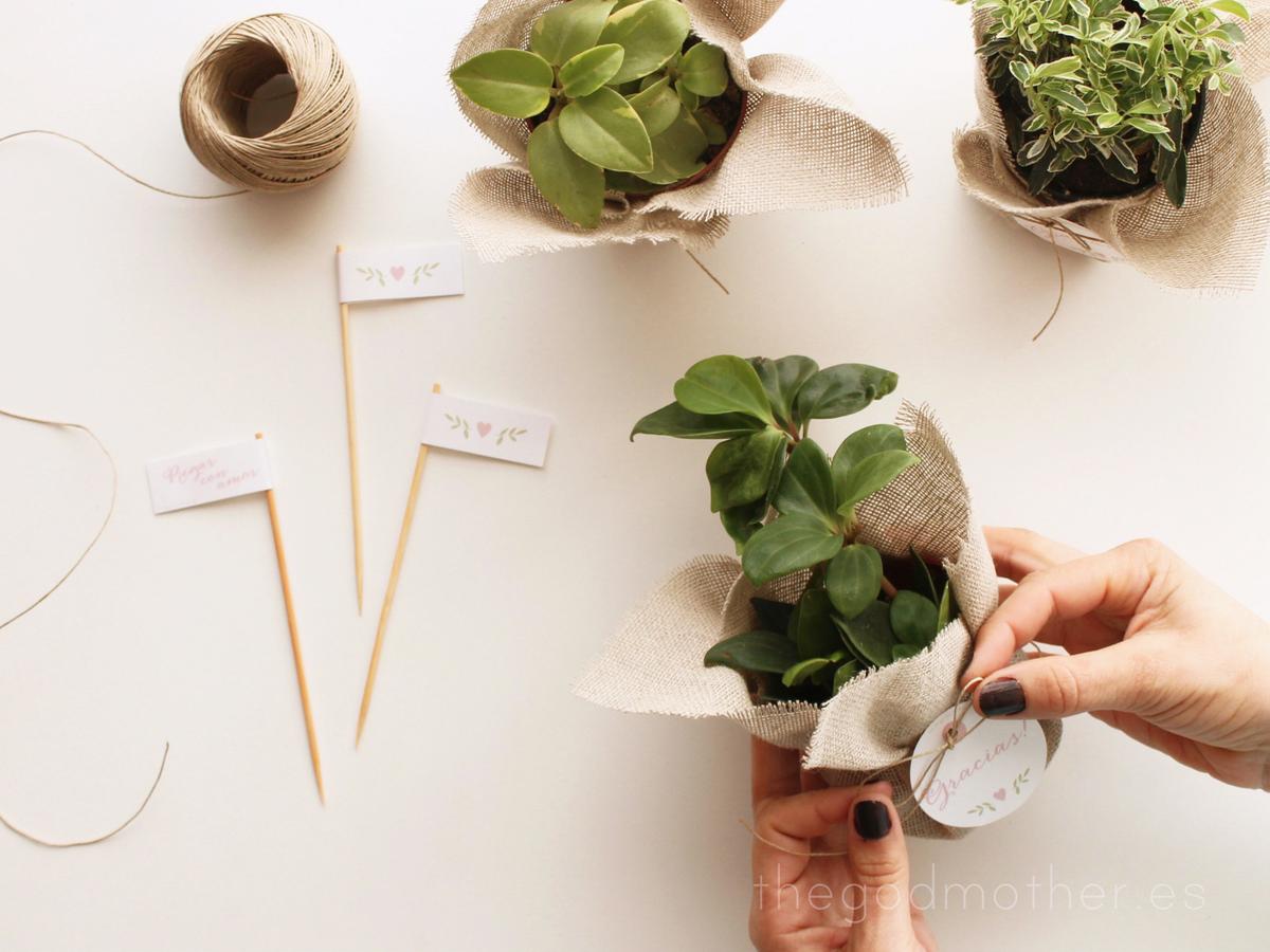 DIY detalles invitados boda - boda handmade - decoración plantas boda1