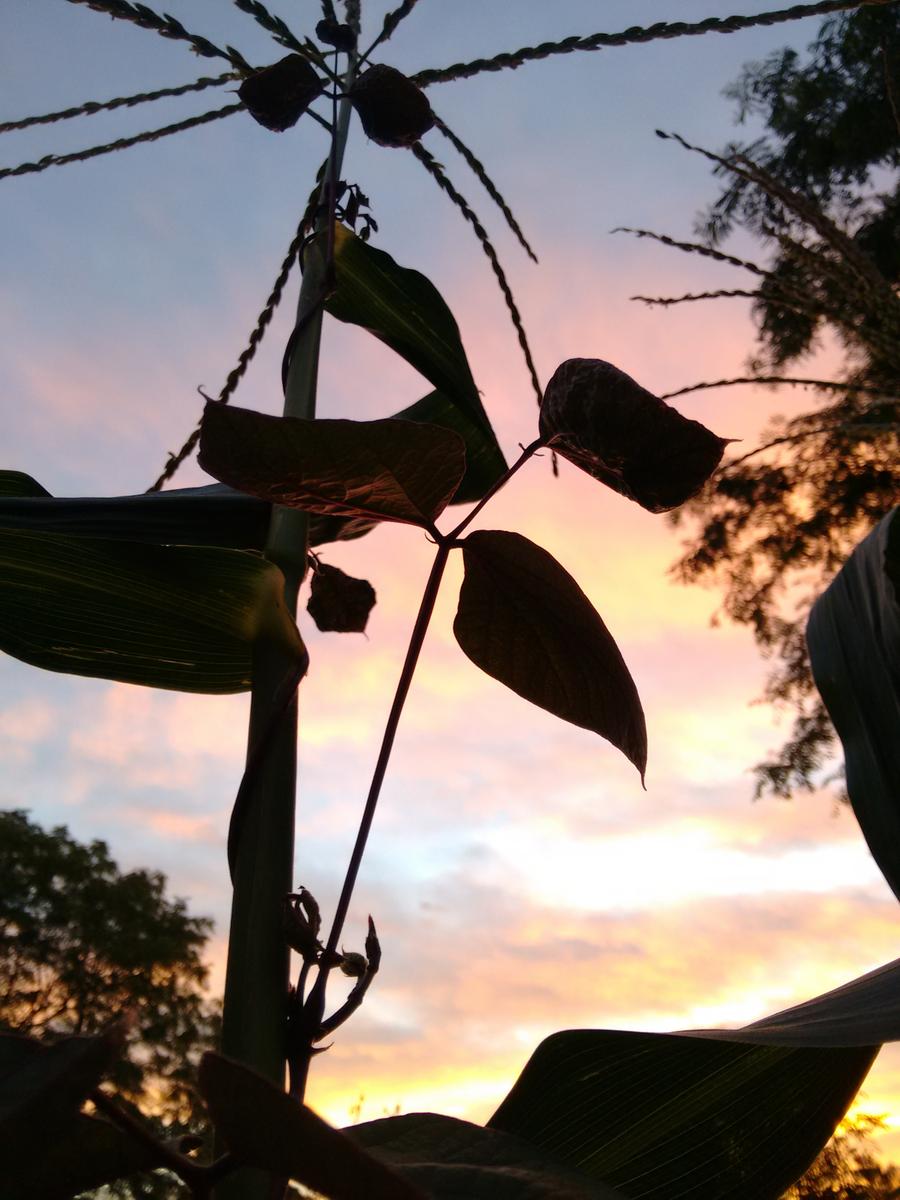 img_20161228_202001957