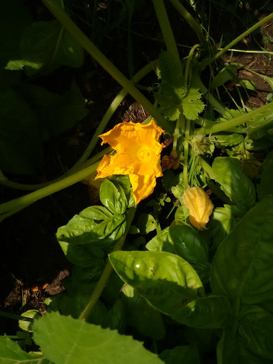 img_20170104_103039852