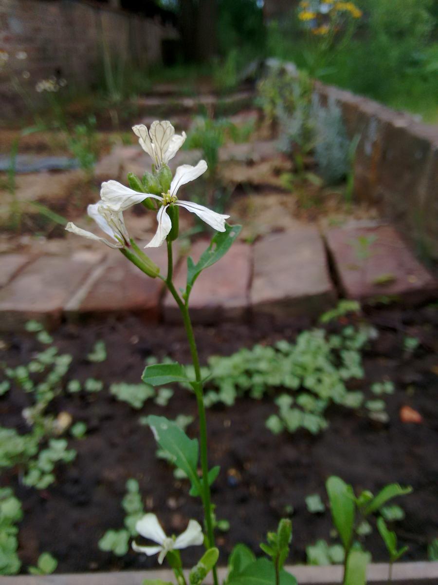 img_20161107_101715713