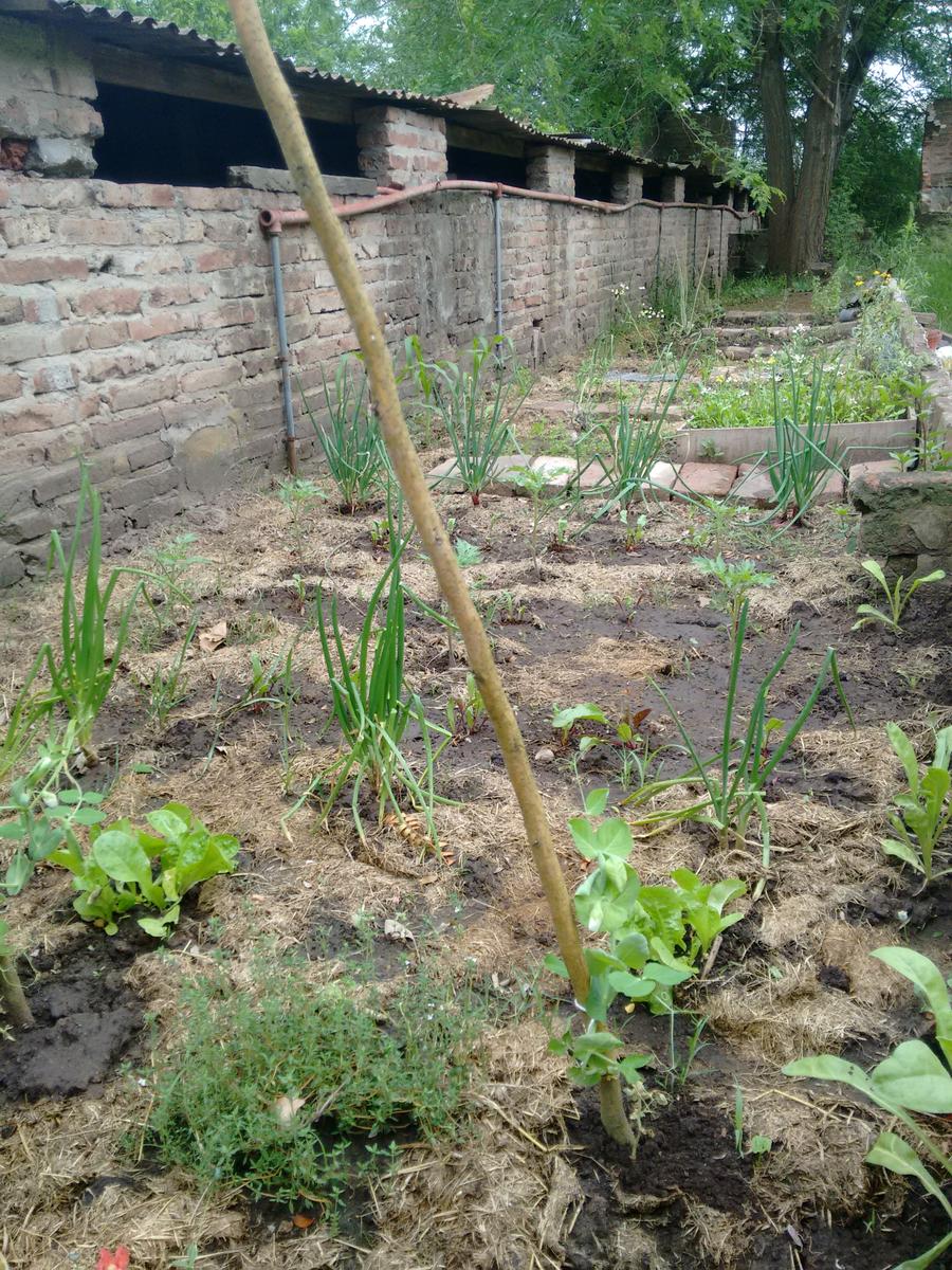 img_20161107_101441442