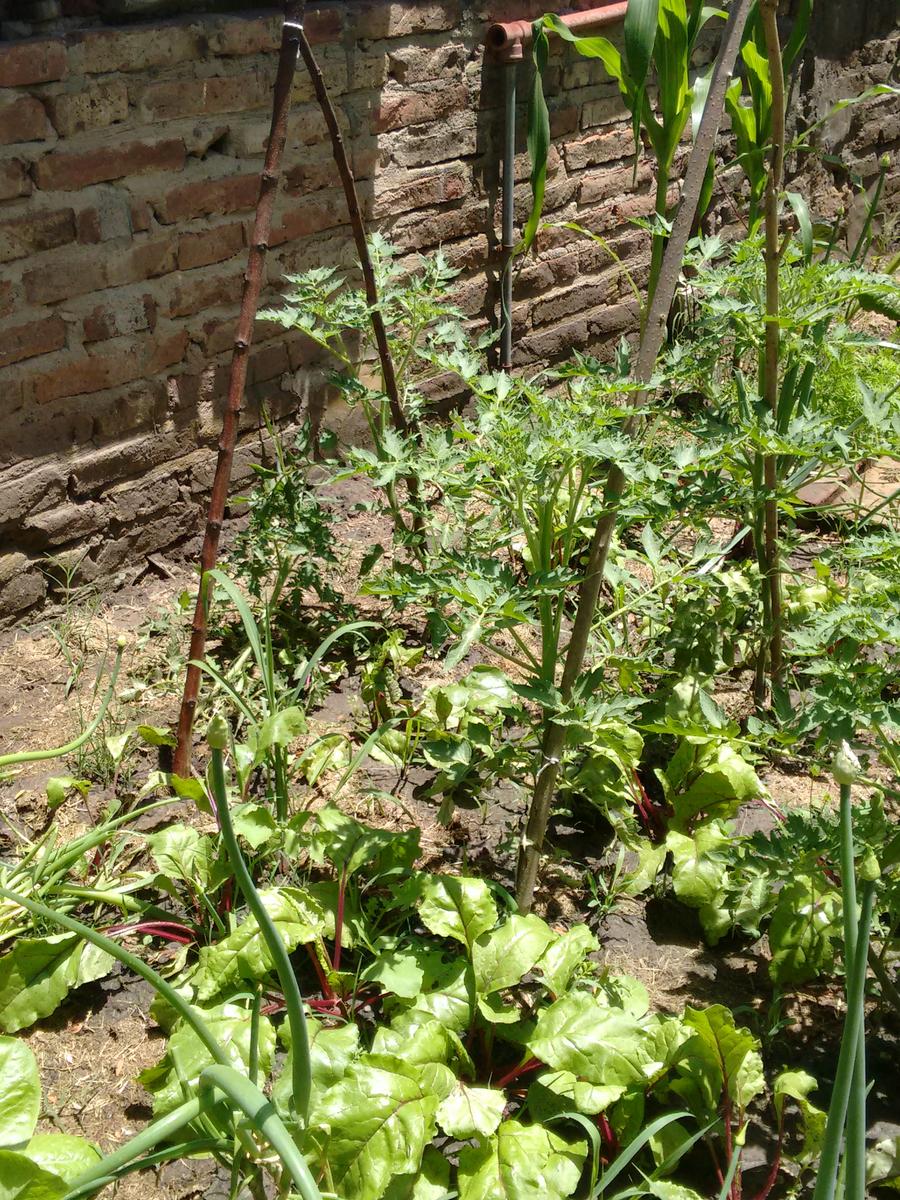 img_20161127_131653391