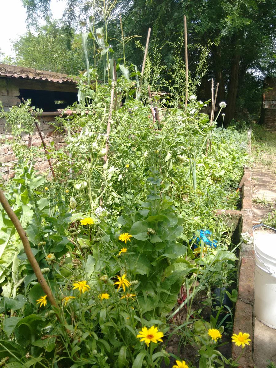 img_20161227_110036813