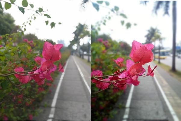 Comparativa DOOGEE Shoot 1 Huawei Honor 6X vs cual es mejor camara mejor smartphone teléfono lente dual opiniones valoración especificaciones sensor de huellas detector de huellas pantalla oferta