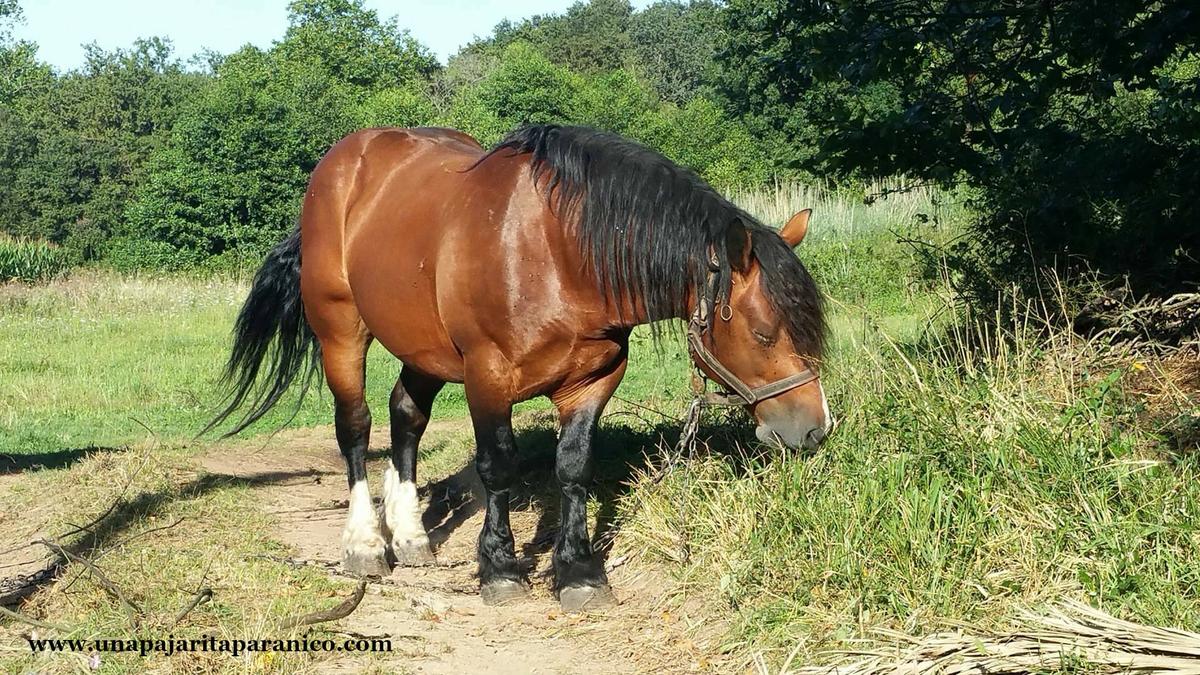 14285341_10210649631782614_975282856_o