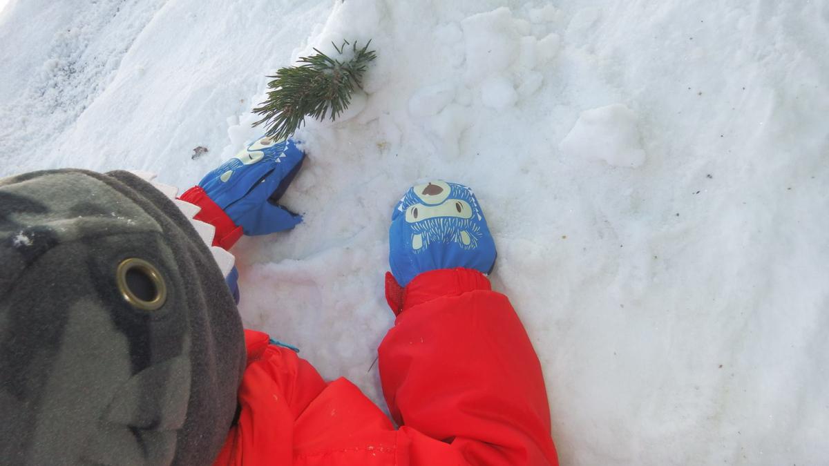 16389309_1957226077853976_596717364_o