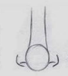 paso 2 para aprender a dibujar una nariz de frente