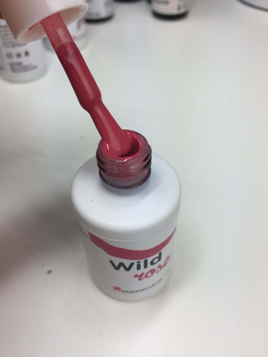 Foto 7-2-17 18 17 51