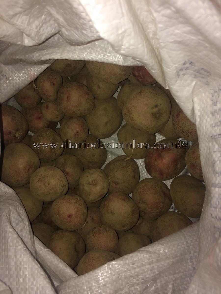 patatas-tempranas-saco-9-2-17